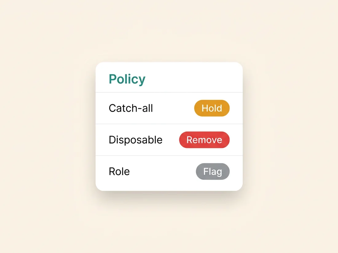 Handling policy for catch-all email, disposable and role addresses: hold, remove, flag