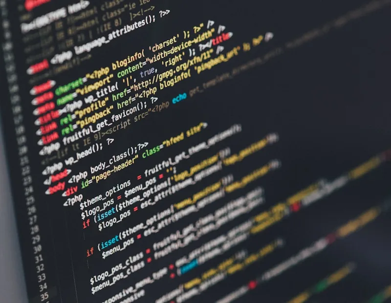 A developer testing the SpamCipher validation API in a terminal